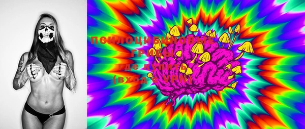 mdma Абаза