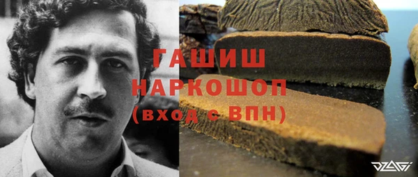 герыч Алексин